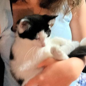 Meet your Posher, Isabella